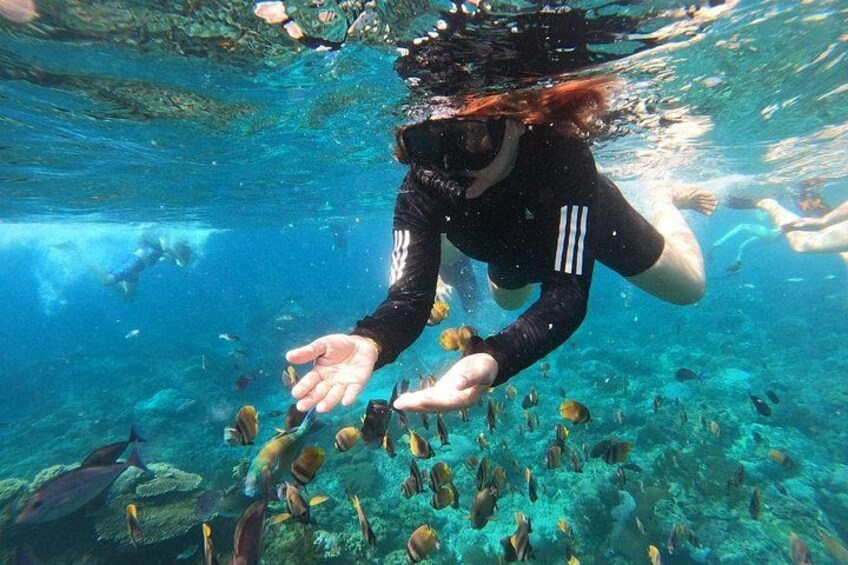 blue lagoon snorkeling 1