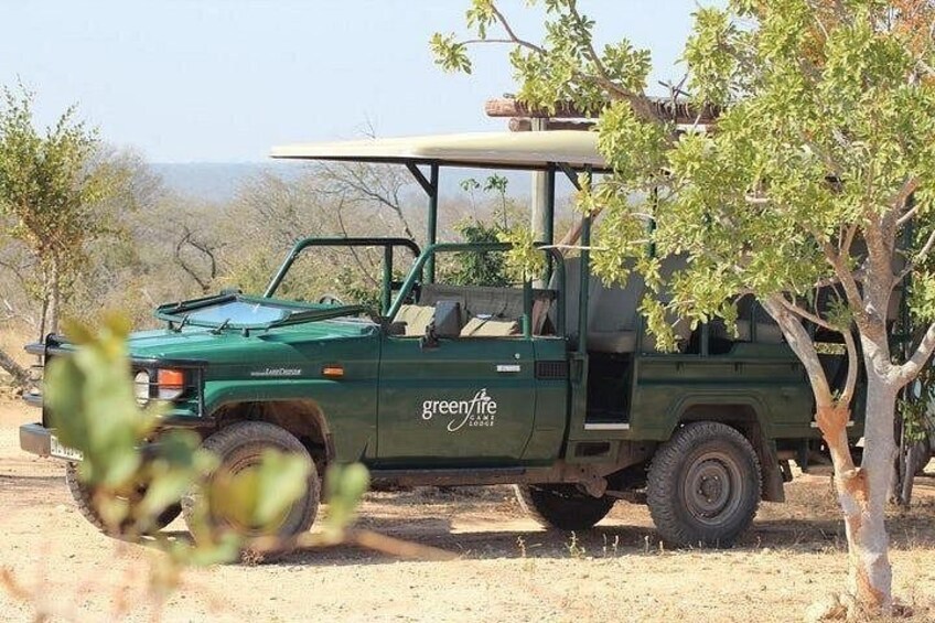 Pretoria and Lion Park Safari Experience 5