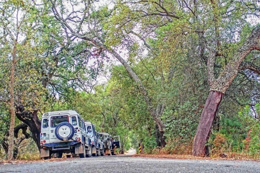 Super Day- Jeep Tour + Arade River Cruise 2