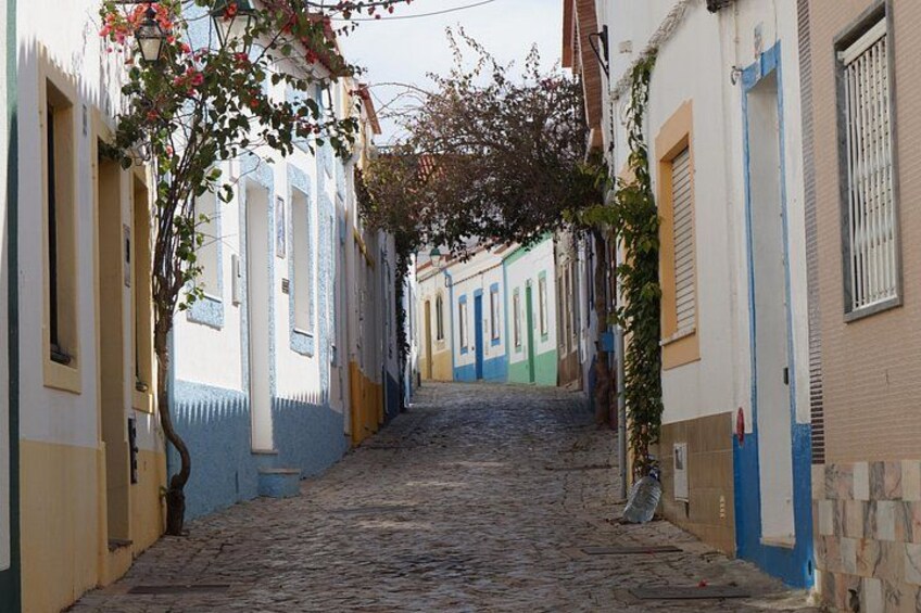 A cobblestone street with colorful buildings, a narrow alley, and a hanging vine. 1