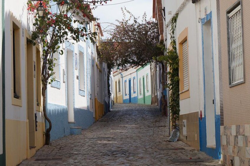 Una calle empedrada con edificios coloridos, un árbol con flores rosadas y una puerta azul a lo lejos. 1