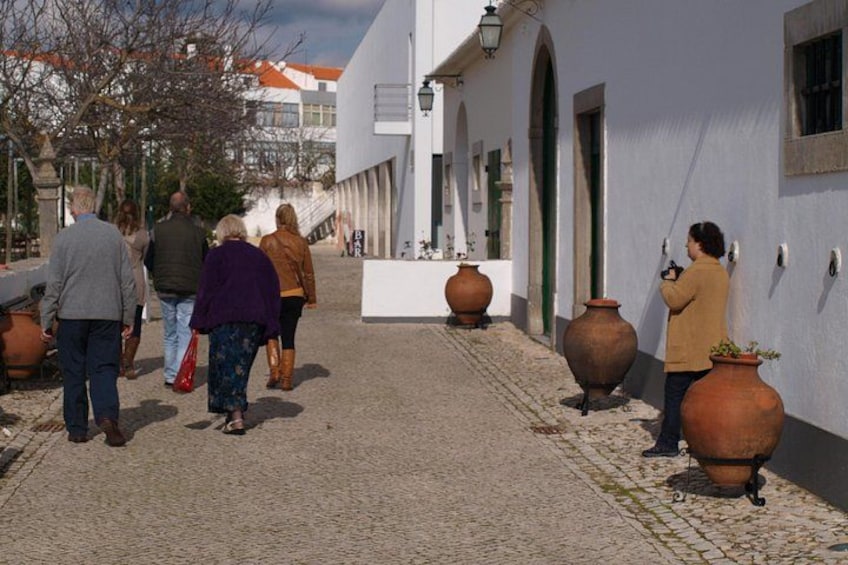 A cobblestone street with people walking, large terracotta pots, and white buildings with green doors. 4