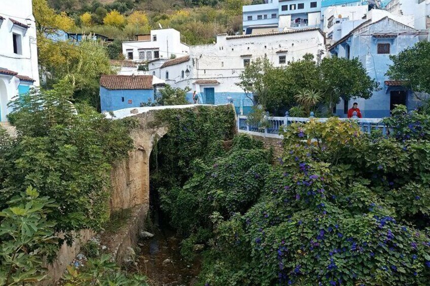 Day Trip To Chefchaouen , Small Group