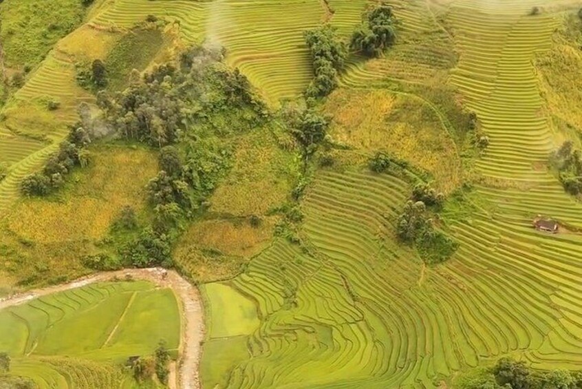 Da Lat Loop Tour On Motorbike - Private Tour 2