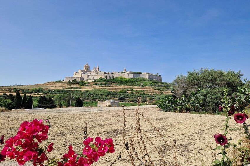 Mdina 3