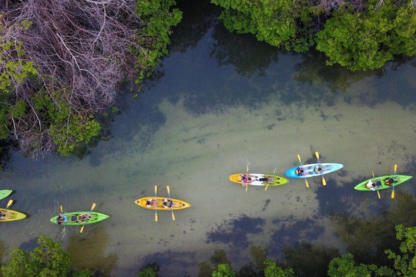 Puerto Rico Bio Bay Kayak Adventure Tour 2