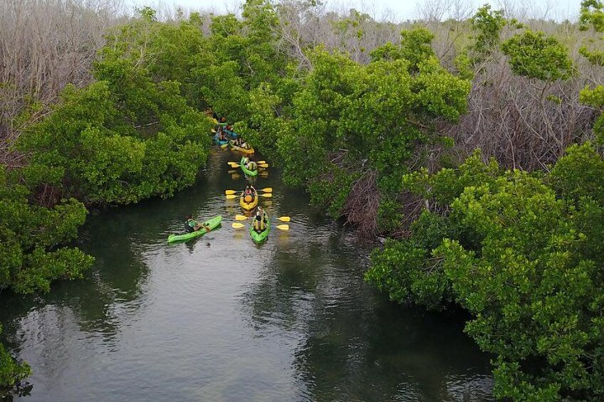Puerto Rico Bio Bay Kayak Adventure Tour 3
