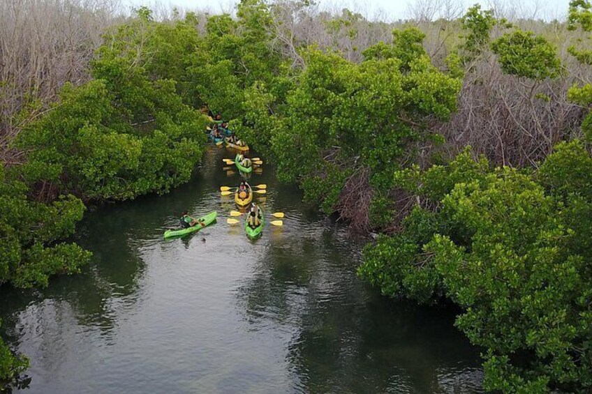 Puerto Rico Bio Bay Kayak Adventure Tour 2
