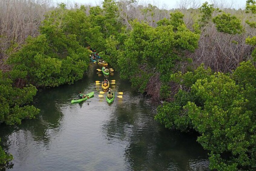 Puerto Rico Bio Bay Kayak Adventure Tour