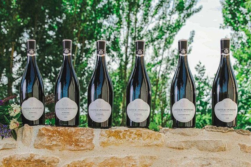 Six bottles of wine with labels, arranged on a brick ledge against a backdrop of trees and greenery. 3