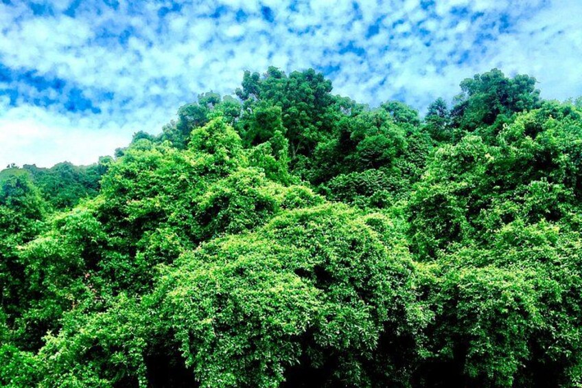 A day trip in Karongi 5