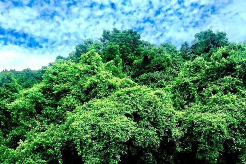 A day trip in Karongi 5