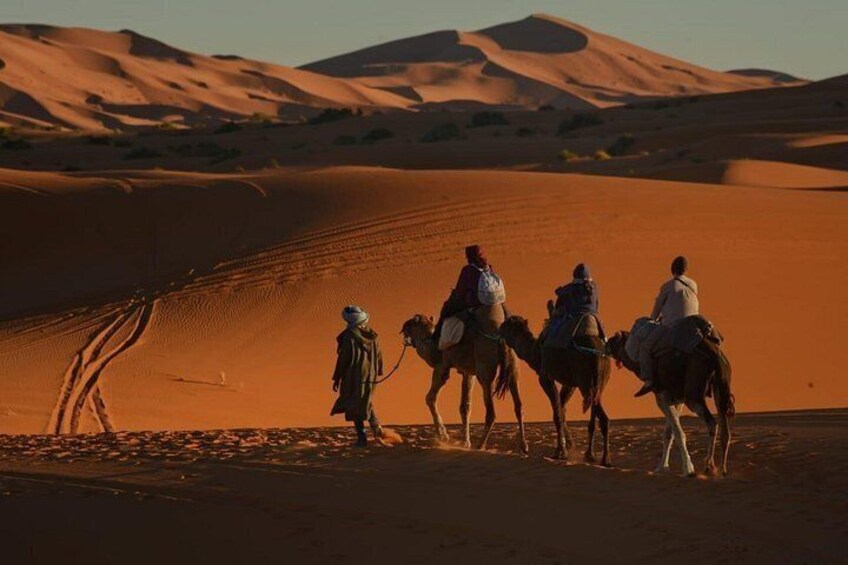 camel ride 2