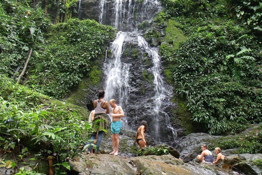 Full-Day Brownsberg Nature Park Tour 1