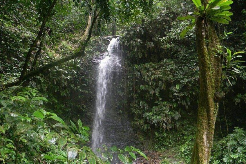 The Leo falls 3
