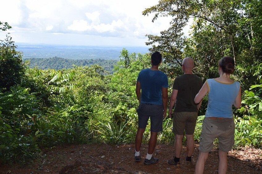 Full-Day Brownsberg Nature Park Tour 5