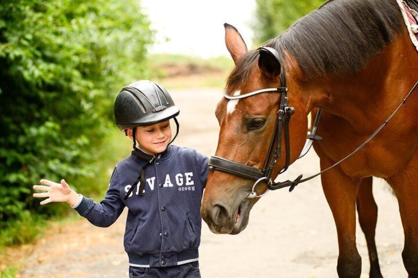 60 min of horse riding in Lviv city near the stable territory