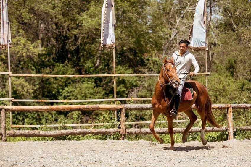 A person riding a horse in an outdoor arena with a wooden fence and trees in the background. 3