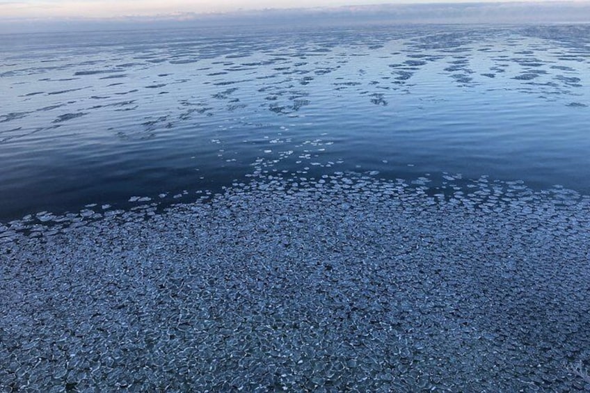 Baltic sea in winter 3