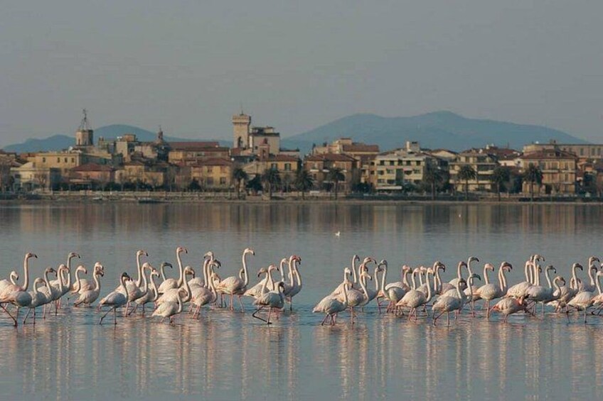 Orbetello 4