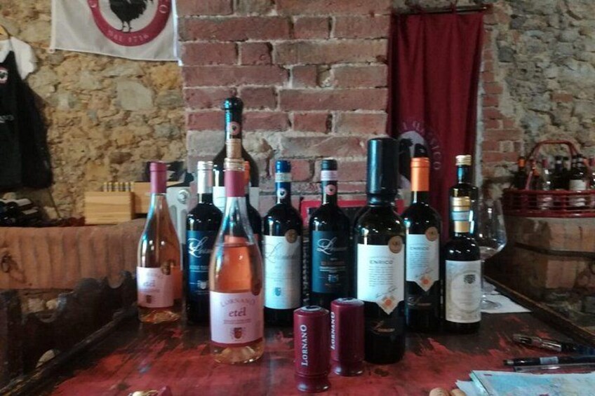 Siena Monteriggioni San Gimignano with Lunch&WineTasting Fullday from Florence 2