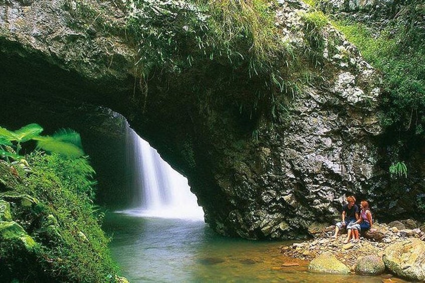 Natural Bridge Glow Worm Night Tour from Gold Coast 1