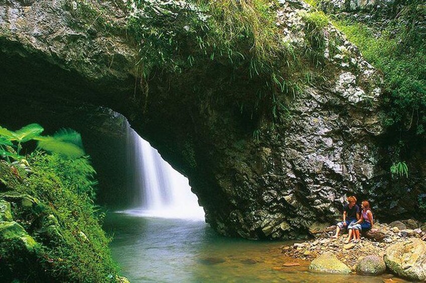 Natural Bridge Glow Worm Night Tour from Gold Coast 1