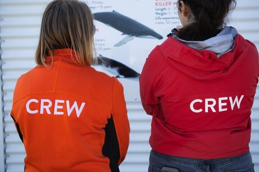 Two people wearing red jackets with the word "CREW" on the back. 3