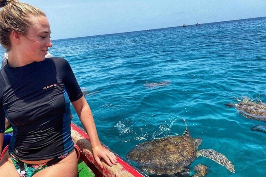A person in a boat with sea turtles swimming nearby. 4