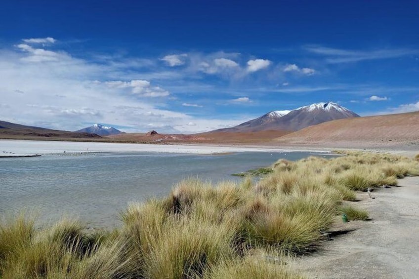 2-Days Uyuni Salt Flats including Laguna Colorada 1