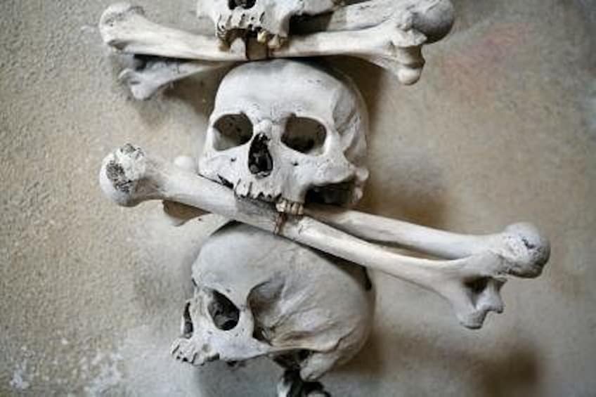 A skull with a crossbones. 5