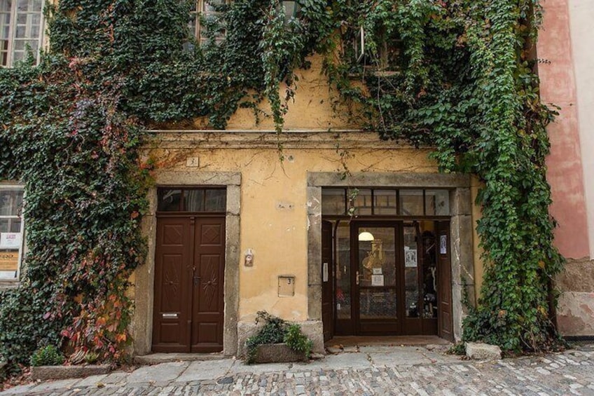 A building with a brown door and a glass window, covered in green ivy. 3