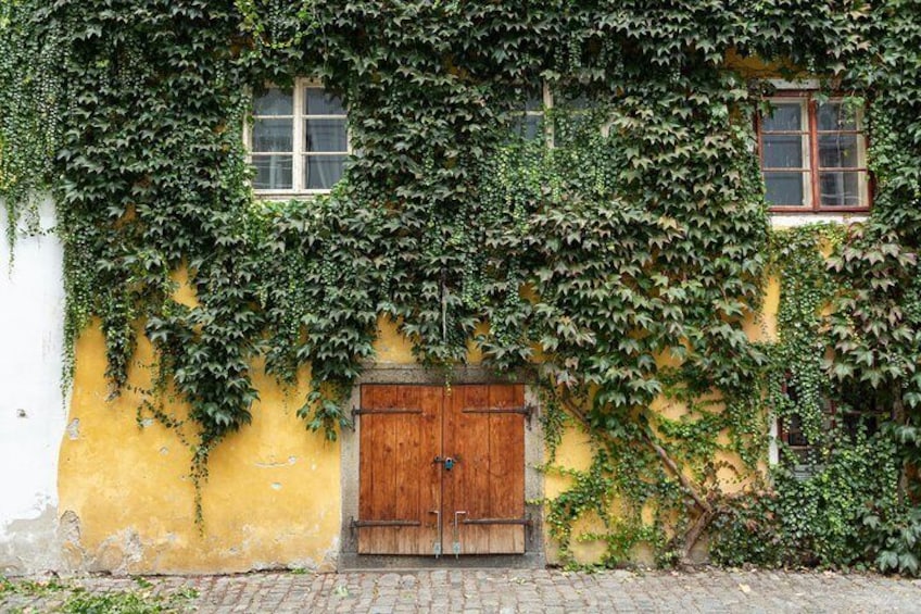 Un edificio amarillo con puerta de madera y ventanas cubiertas de hiedra verde. 4