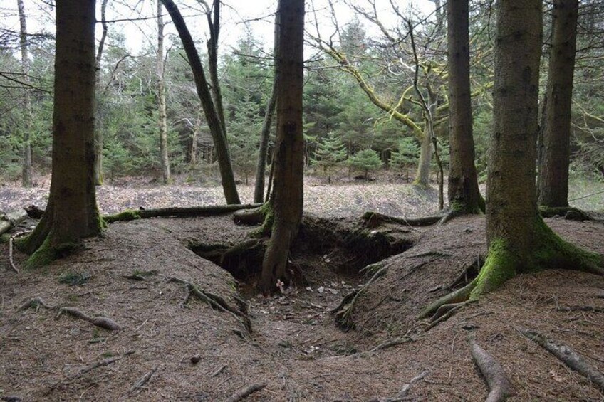 Foxholes 2