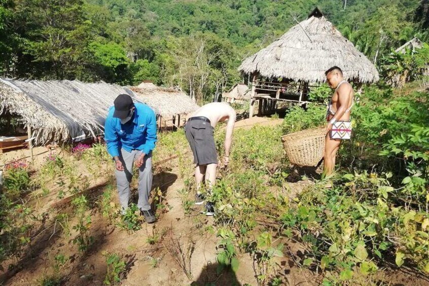  Emberá Village Overnight Tour