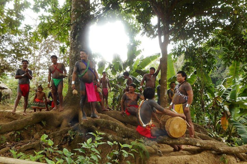 A group of people in a forested area, some standing and others sitting on a tree trunk. 1