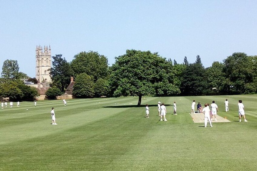 A cricket field with players, a large tree, and a historic tower in the background. 4