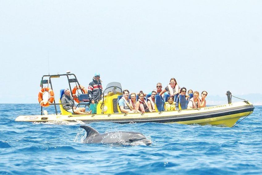 Ein Boot mit Passagieren und einem Delfin im Wasser. 4
