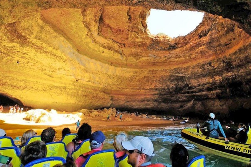 Dream Wave - Caves and Dolphin Watching Cruise 4