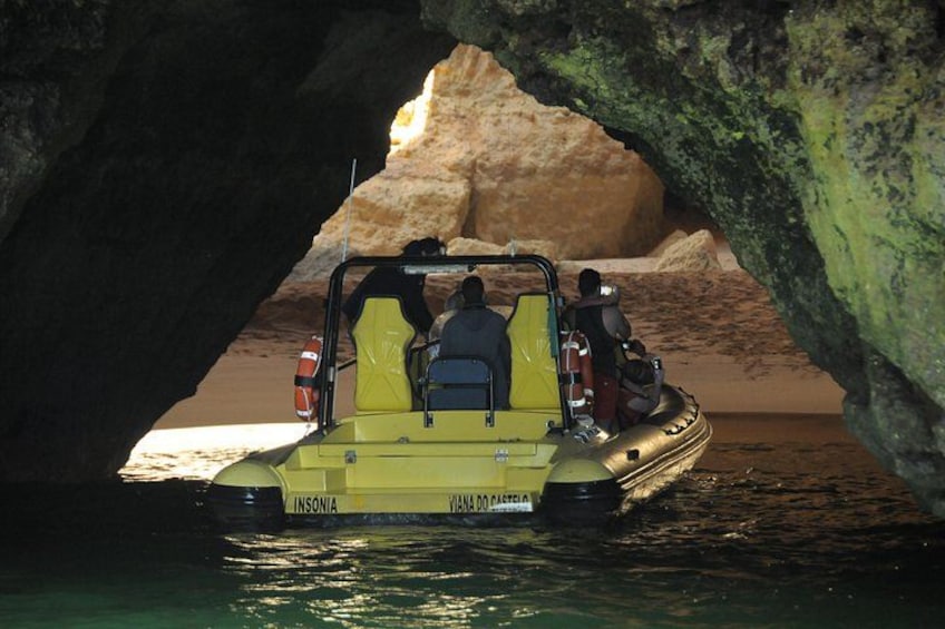 Dream Wave - Caves and Dolphin Watching Cruise 2