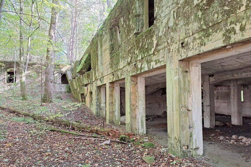 A dilapidated building with moss-covered walls and wooden beams, surrounded by a forest. 1