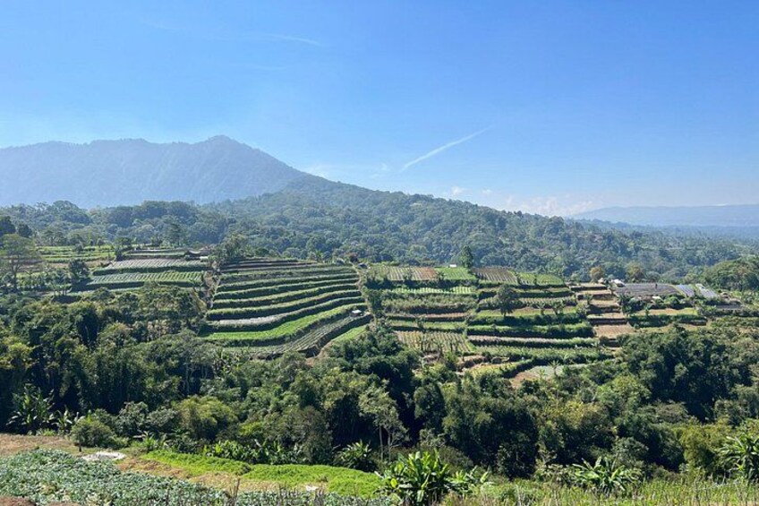 Beauty Of West Bali Tour (Private and All Inclusive) 1