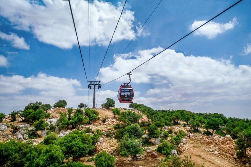 Full Day Tour of Ajloun Castle with Cable Car and Wine Tasting 4