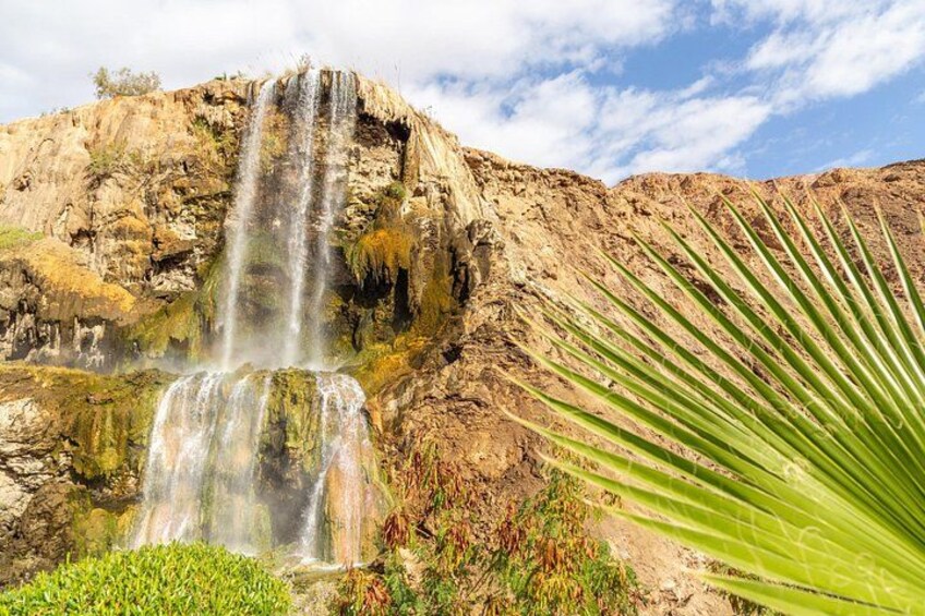 Private Half-Day Ma'in Waterfalls and Hot Springs Tour from Amman 2