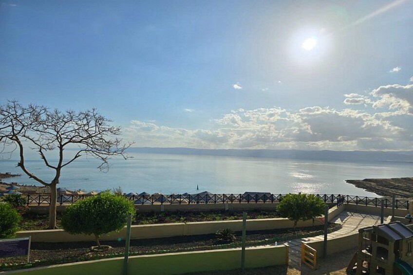 A coastal landscape with a clear sky, a tree, a fence, and a body of water. 2