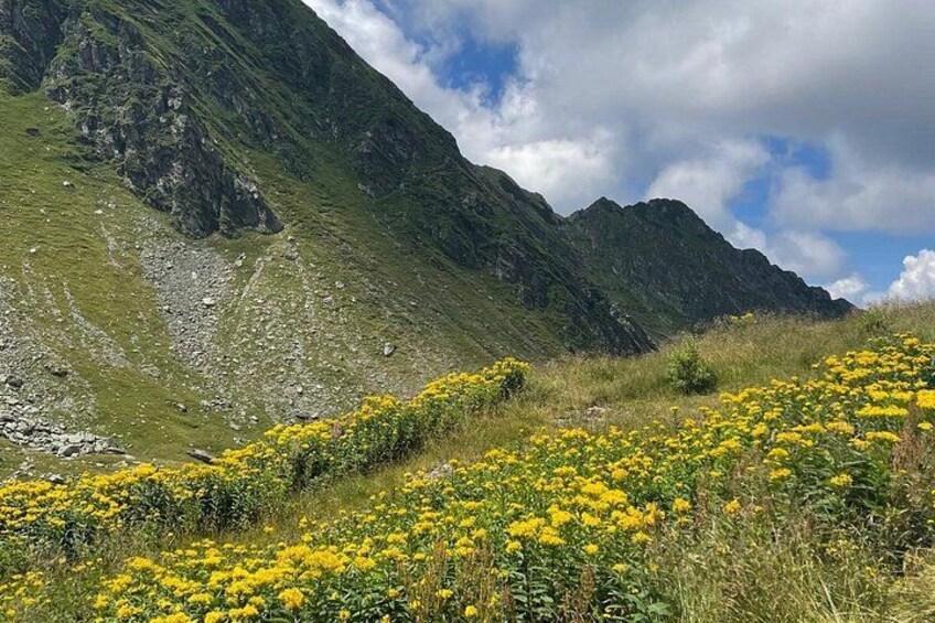 Day Hike in Carpathian Mountains for all levels in five areas 2