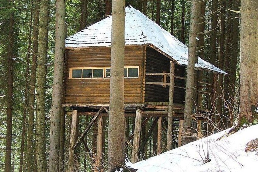 Brown Bear Observation Hide in the Wild Transylvania 2