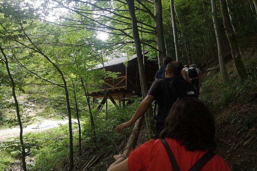 A forested area with a wooden structure, possibly a lookout or shelter, and a dirt path. 1