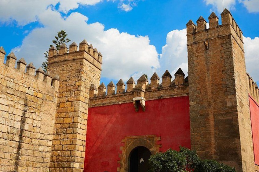Alcázar tour and roof tour (no tickets) 5