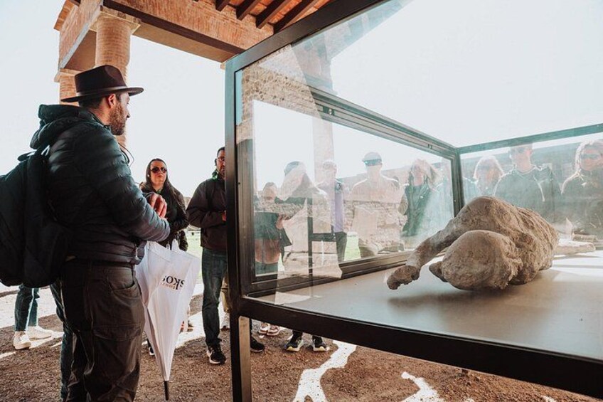 A glass enclosure with a large animal, possibly a sheep, inside. 2